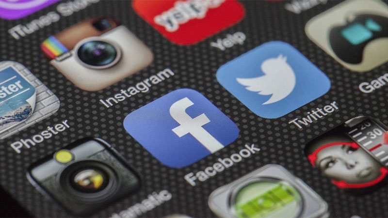 Евродепутат заявил о проблеме свободы слова в Twitter и Facebook