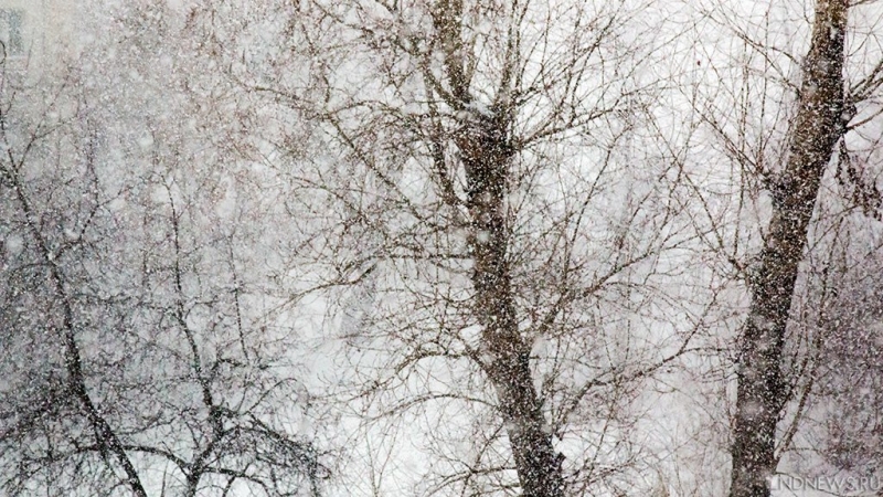 На Челябинскую область надвигаются снегопады и метели