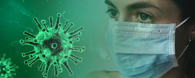 В России зафиксировали 29 258 новых случаев коронавируса