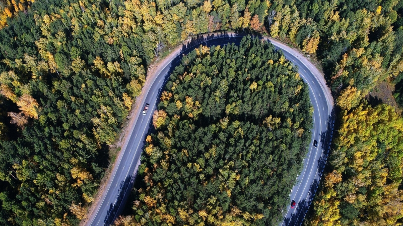 Минприроды намерено увеличить вчетверо ввод лесных дорог через 10 лет