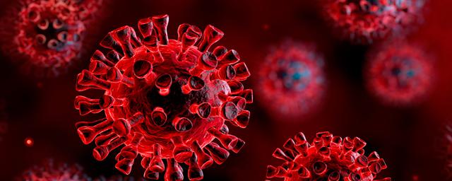 В России зафиксировали 24 246 новых случаев коронавируса