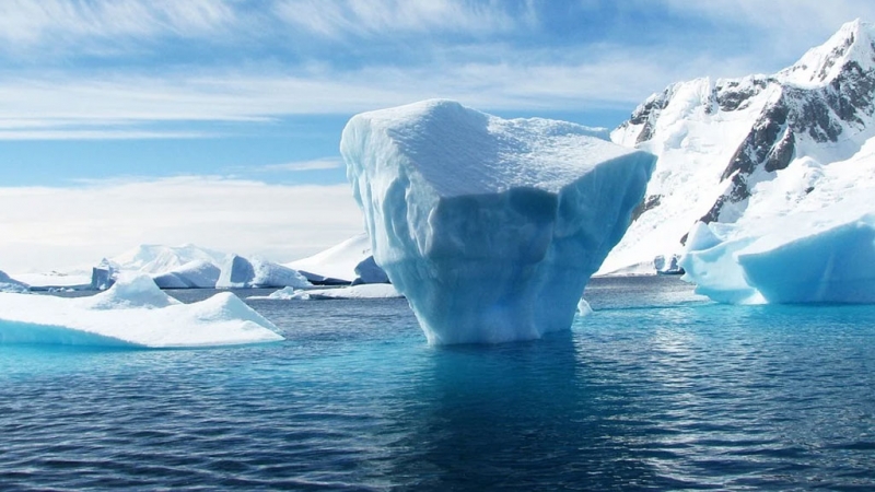Обнаруженные в Антарктиде странные существа могу исчезнуть из-за глобального потепления