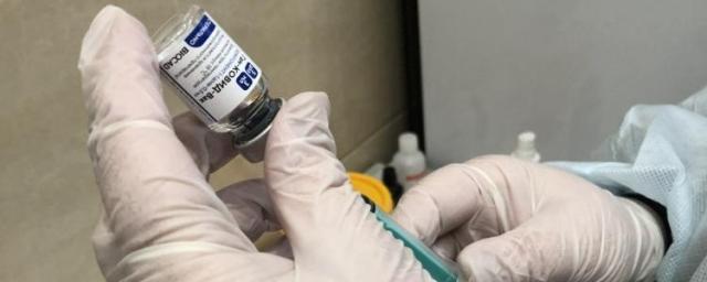 Российский разработчик подал заявку на регистрацию вакцины «Спутник Лайт»