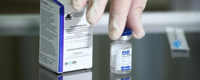 В Австрии  вакцину «Спутник V» сравнили с автоматом Калашникова