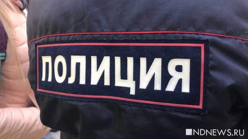 Задержанным в Москве оппозиционерам вменяют сотрудничество с нежелательной в РФ организацией