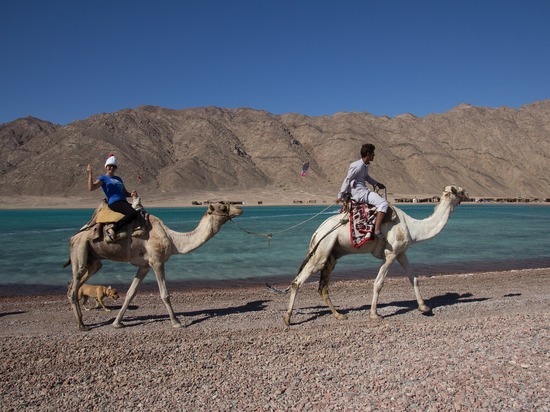 Цены на туры в Египет окажутся выгодными только для первых туристов