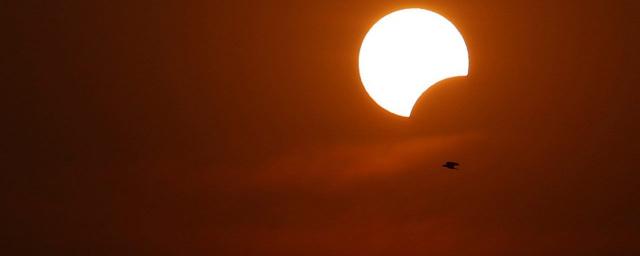 Россиян ждет первое за 50 лет редкое затмение солнца