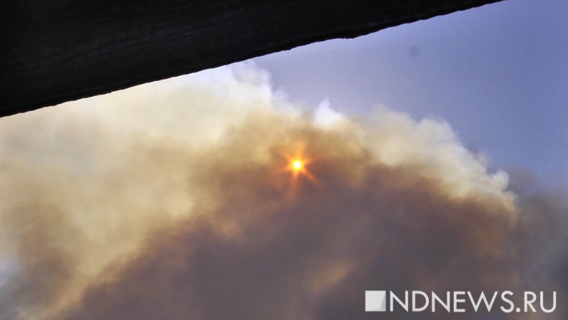 В Индии 18 человек погибли при пожаре на химзаводе