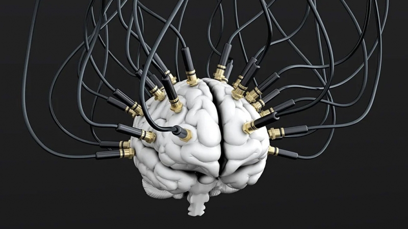 В России разрабатывают госпрограмму чипирования мозга человека