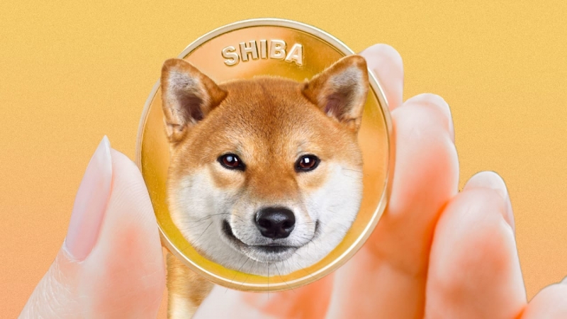 Пользователь продал дом, купил 4 млрд токенов Shiba Inu и ждёт, пока их цена вырастет в 2538 раз