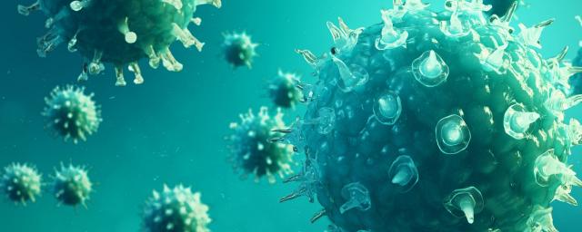 Новый штамм коронавируса обнаружен на юге Франции