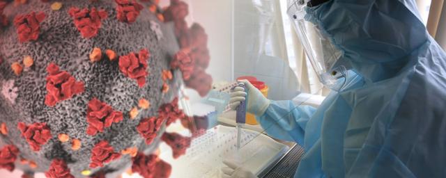 Профессор Университета Аристотеля Сарияннис: пандемия коронавируса завершится 20 февраля