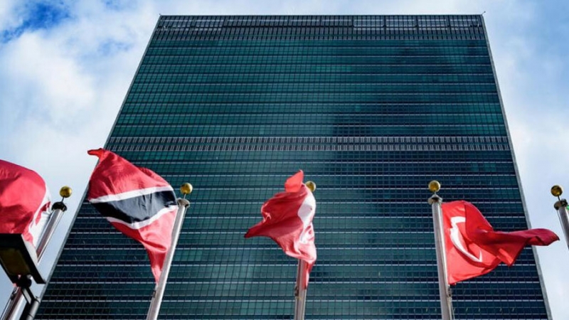 В ООН посчитали нарушением Устава признание независимости ДНР и ЛНР