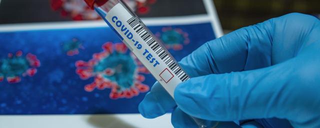 В России за сутки впервые выявлено более 177 тысяч новых случаев коронавируса