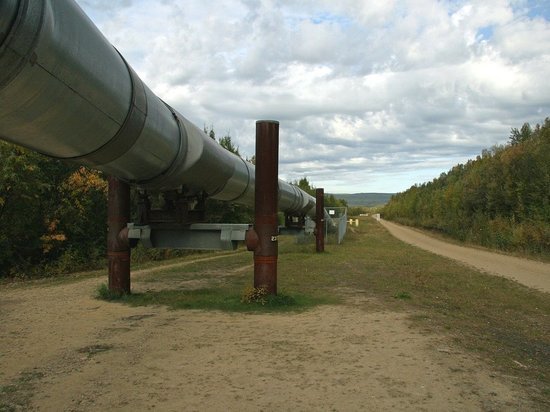 Отказ от российского газа в Германии сравнили с харакири