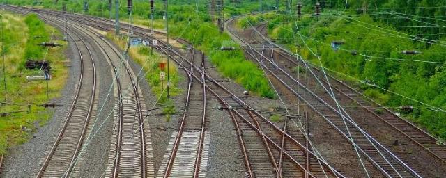 Литовские железные дороги объявили о прекращении транзита санкционных товаров в Калининград