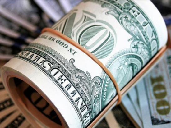 Россиян предупредили о последствиях «раздувания» доллара