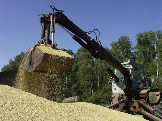 США известили 14 стран о попытках продать им «краденое» украинское зерно