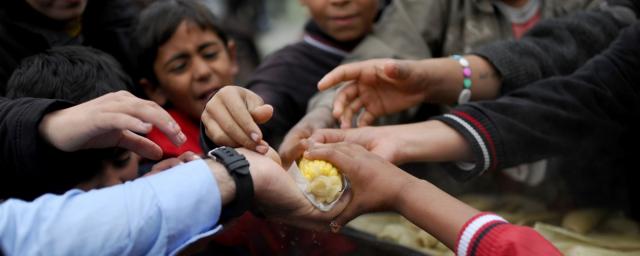 Представитель ООН Бизли: Мир рискует столкнуться с массовым голодом
