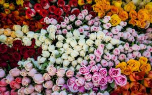Букет из роз: какие сорта выбирать