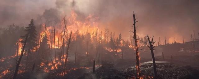 Пожары в Рязанской области полностью локализованы