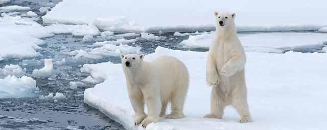 The Hill: Россия предъявляет возмутительные требования на Арктику