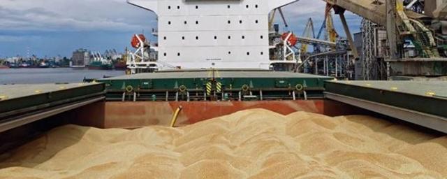 Более 80% зерна с Украины летом 2022 года ушло в развитые западные страны