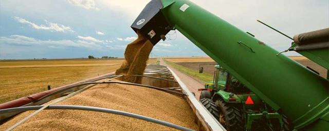 Губернаторы трёх российских регионов призвали взять под госконтроль экспорт зерновых