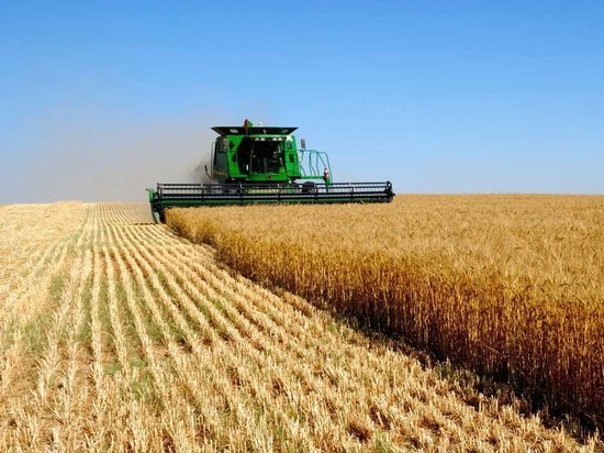 Эксперты предрекли Украине проблемы с сельским хозяйством из-за погодных аномалий
