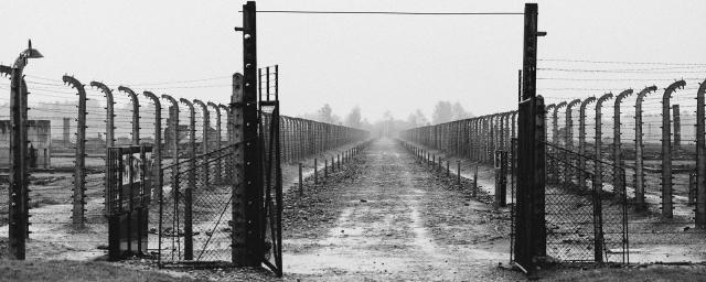 ФСБ обнародовала свидетельство того, как поляки убивали узников Освенцима