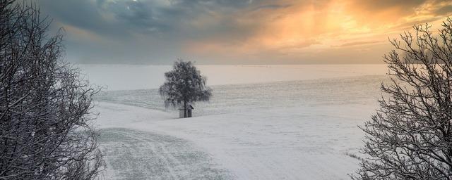 В феврале жителей России ожидает морозная погода
