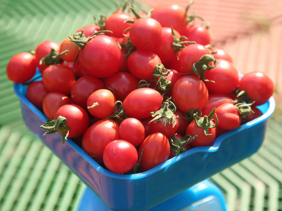 Цены на помидоры и огурцы власти собрались сбить снижением ввозных пошлин