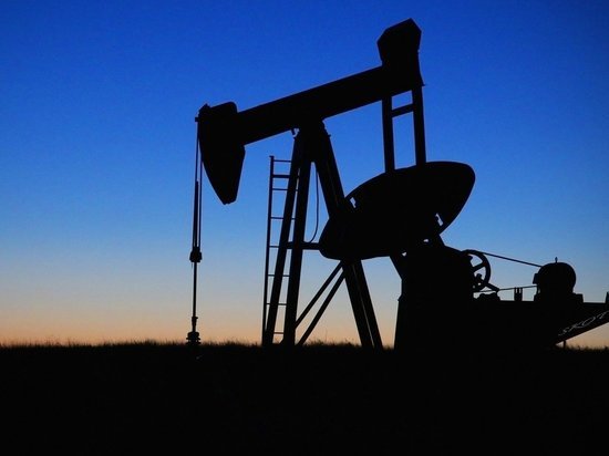 Эксперт оценил, насколько «небольно» ударит американский кризис по нашей нефтянке