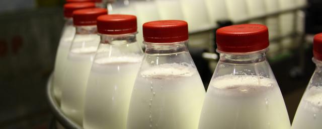 В России проверят производителей молока на фальсификат по поручению Генпрокуратуры