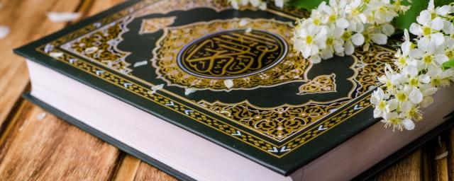 В Швеции разрешили проведение акции по сожжению Корана