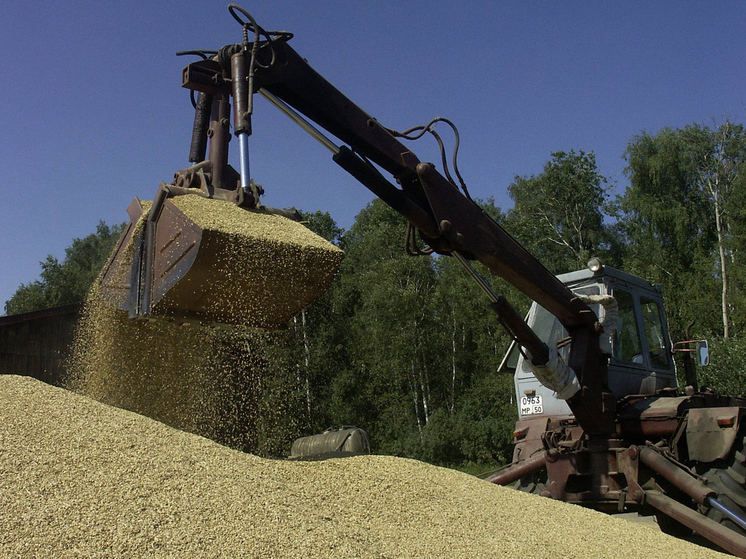 Выход России из зерновой сделки может принести нашей стране миллиард долларов