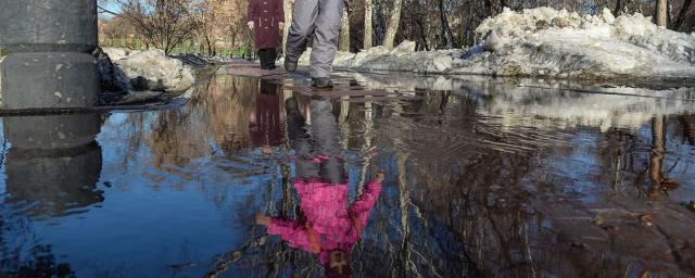 Климатолог Семенов предсказал 10-градусный рост средней температуры в Сибири