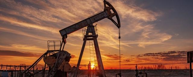 Профессор Сайкал: Россия и Саудовская Аравия владеют ключами от цены на нефть