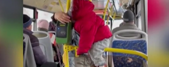 В автобусе в Подмосковье сняли на видео одетую в детские вещи маленькую обезьяну