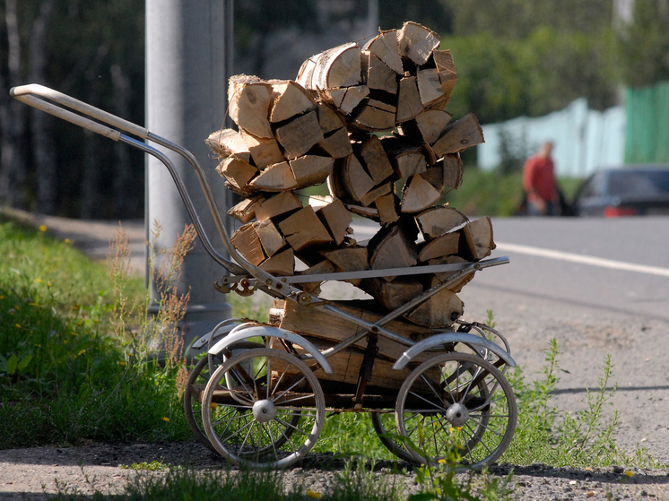 «Отопления больше нет»: жители Бурятии рассказали о непосильных кредитах на дрова