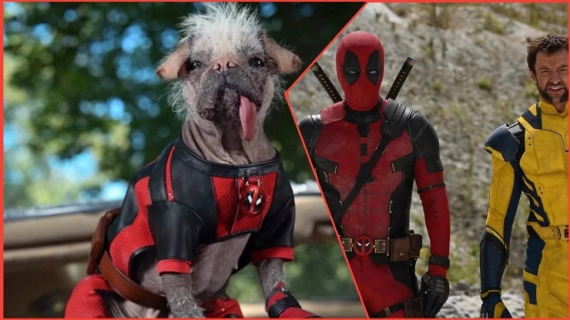 Отпускайте собак: Райан Рейнольдс анонсирует летний релиз Deadpool 3 и представляет нового шерстяного героя Dogpool