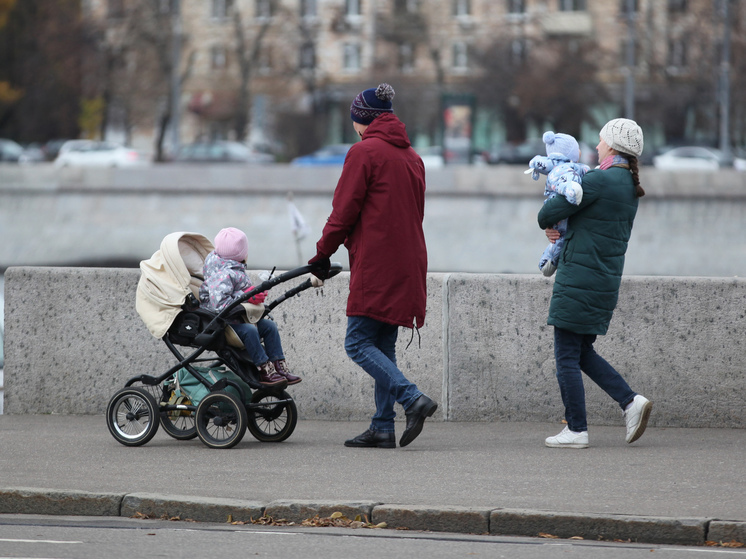 Рождаемость вне налогов: Матвиенко предлагает освободить многодетных от уплаты НДФЛ