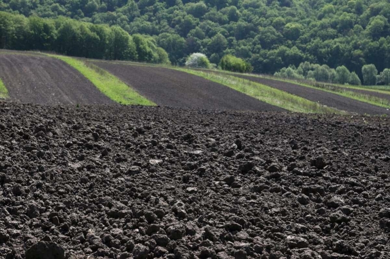 Учёный: В России большая беда с удобрениями в почве, мы проедаем почвенное плодородие