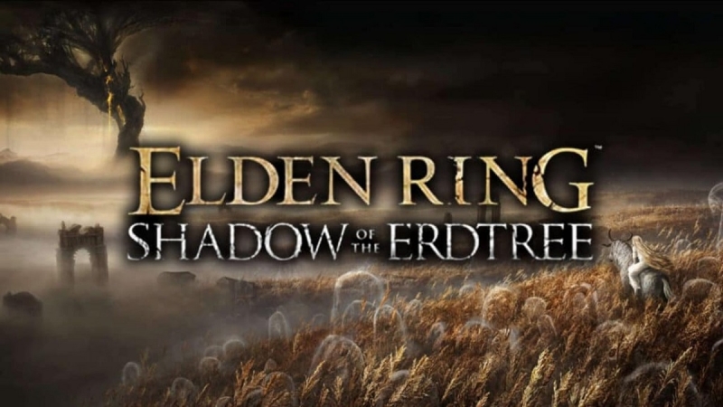 Предположительно, FromSoftware начала финальное тестирование дополнения Shadow of the Erdtree для Elden Ring