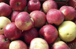 Лимоны и яблоки стремительно растут в цене: эксперты дали объяснение