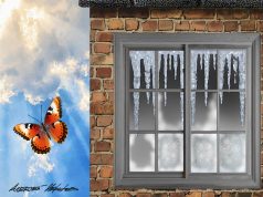 Купил квартиру — остался ни с чем: как мошенники разоряют рынок «вторички»