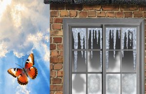 Купил квартиру — остался ни с чем: как мошенники разоряют рынок «вторички»