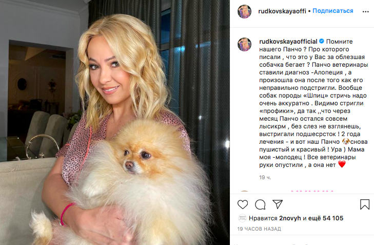 Ветеринары опустили руки: Рудковская рассказала о болезни пса